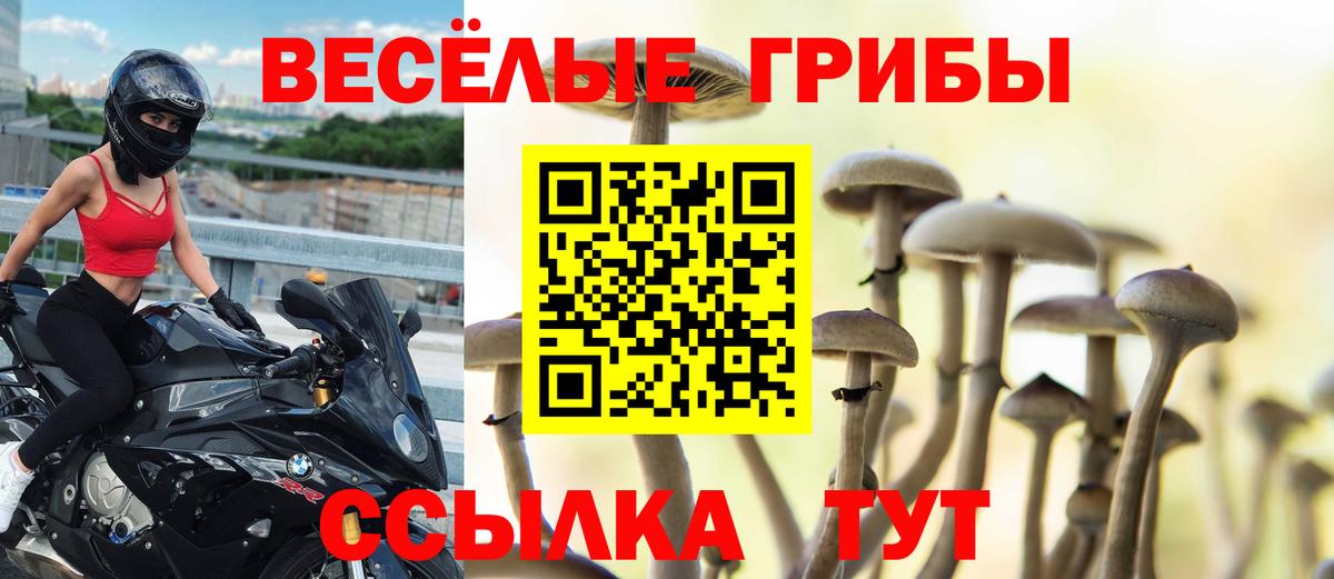 Галлюциногенные грибы мухоморы Пыть-Ях
